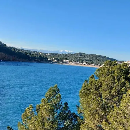Loft L'olivier Gasthof